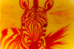 Yellow-Zebra